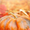 Pumpking